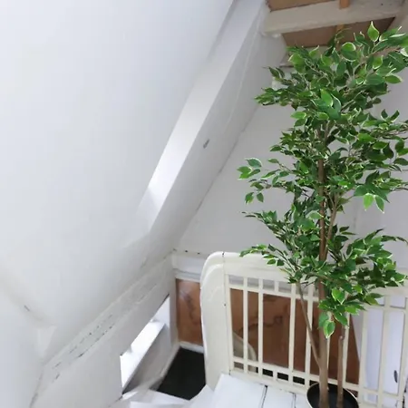 Luxurious Two Storey In The City Centre